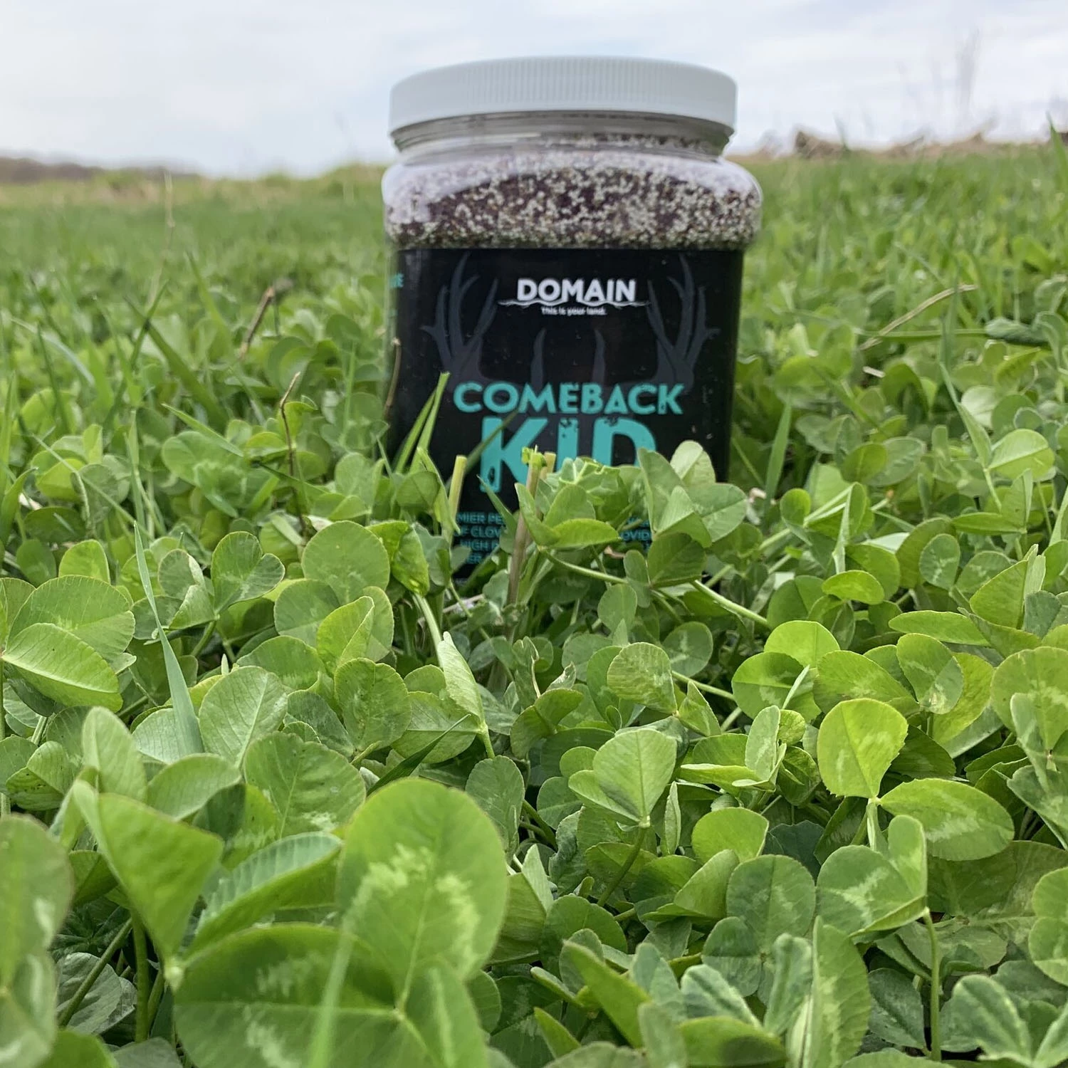 Domain Outdoor Food Plot Seed Comeback Kid 3.75lb Jug (Plants 1/2 ACRE) - Image 2