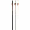 Ravin Crossbows Arrows Bolts Lighted 400 Grain .003 +/- 3pk Matched Weight R133