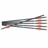 Ravin Crossbows Arrows Bolts 16″ R18 350 Grain .003 6pk R146